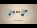 What Are Intermolecular Forces | Properties of Matter | Chemistry | FuseSchool