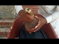 ASMR ✂️Billu haircut of very old  person with new cuter handy electeric mashain 👨‍👧‍👧Billu