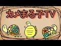 【採集】野生のカメを探しに田舎に来た結果…