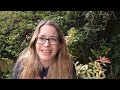 The 'This is My Book' tag! #authortube