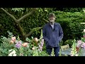 Nigel Slater takes us on an exclusive tour around his garden | tips for a small space