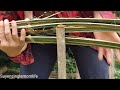 Living in the forest, the girl and her boyfriend fenced around the house to release ducks.