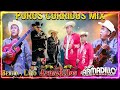 Dueto Bertin y Lalo, Los Armadillos de la Sierra, Dueto Los Armadillos - Corridos y Rancheras