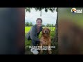 125-Pound Golden Retriever Couldn't Even Stand Up On Her Own | The Dodo