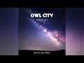 Owl City - Fireflies (Wintering Remix) [Total Anarchy Edit]