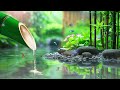 Calm Music, Yoga, Sleep Meditation, Spa, Study, Healing Music, Peaceful Moments - Relaxing Music