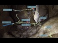 Peak Cavern - A Trip to Moss Chamber