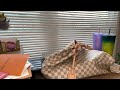 Louis Vuitton Graceful MM Damier Azur review