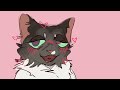 girl like you !! | warriors oc pmv