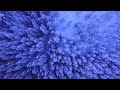 Cold - ( Official Visualizer ) ft Jeremih & Jey #music #1tendencias