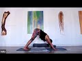 Satya Flow - Beginner Yoga Practice (60 min)
