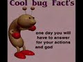 cool bug fact's