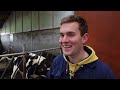 Milking 240 Cows in The Netherlands! 🇳🇱🇳🇱