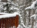 Snowing on the deck