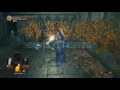 Enhanced Darksouls play.