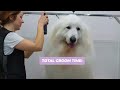 Emotional Owner Reaction: Great Pyrenees Dog's First Bath After 4 Years!