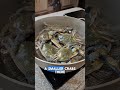 How To Safely Handle Crabs