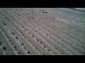 Quadcopter footage of hay bailing.