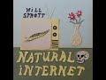 Natural Internet