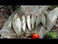 🔵 MANCING IKAN PAITAN DISUNGAI KECIL ‼️ Umpan buah sawit potongan @Serdang2_76