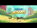 Pocket Ants 3rd Anniversary Event!