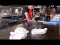A Delicious Collection of Various Seafood | Street food