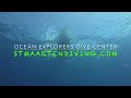 St. Maarten Dive Site Vlog - One Step Beyond