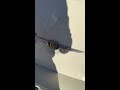 PT Cruiser Rear Hatch Won’t Open video 4