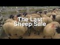 The Last Sheep Sale DVD - Last Bellingham Mart