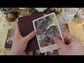 Who secretly WANTS you? 👁 PICK A CARD 🦋 Tarot Reading | Detailed 💝