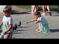 2014-08-30.KHABAROVSK VOKSAL.Fountain 2-Child with Pigeons.MVI_5801.MOV-UNCUT.No Music