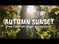 FREE MUSIC BACKGROUND | Acoustic - Autumn Sunset