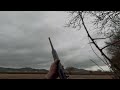 pigeon shooting by the woods, christmas episode
