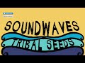 Tribal Seeds - In Your Eyes [OFFICIAL AUDIO]