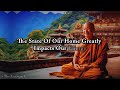 PROVEN✅- REMOVE these 5 THINGS from Your Home Immediately | Buddhist Teachings | ZenSpark