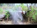 Solo Bushcraft and Adventure in Jungle - SOLO BUSHCRAFT CAMP