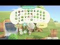 【あつ森】緑生い茂る自然島 エントランスから案内所 | Entrance | Animal Crossing New Horizons