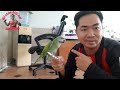 Vẹt Ngực Hồng Có Nên Nuôi II Should you keep rose-breasted parrots?@KhiNguyen Vlog