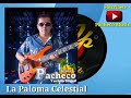La Paloma Celestial(Cover) Jesus Pacheco.