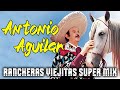 Antonio Aguilar 🐎Sus 20 Mejores Rancheras Viejitas Para Pistear🐎