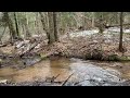 Part 1 Gold Panning Huron Mountain Creeks!!