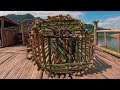 Make a primitive fish cage, Survive alone in the tropical rain forest