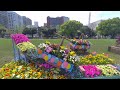 ガーデンネックレス横浜 2024　Yokohama-Yamashitapark  山下公園会場　花壇コンテスト
