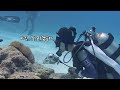 Free-diving Girl's Trip to Okinawa, Japan⛩️Her plan to scuba dive on a motorcycle...