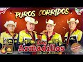 Puros Corridos Chingones — Los Armadillos De La Sierra Mix — 25 Exitos de Guitarras—Puras Pá Pistear