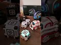 Robot Buddies Unite: EMO, Cozmo, and Vector's Fun-Filled Hangout Session!