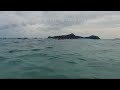 Watching beautiful fishes under the sea | Thailand tour 2024