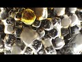 Salt Crystals under a Microscope using Oblique Illumination and Dark Field Filters