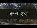 V-log 오후에 즐기는 여유