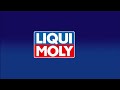 LIQUI MOLY Gear Protect (#1007)